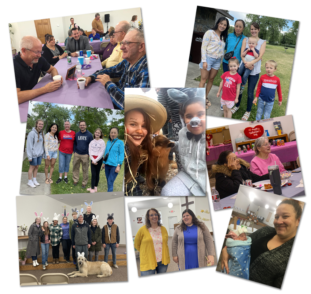 get-involved Get Involved - Harvest Time FWB